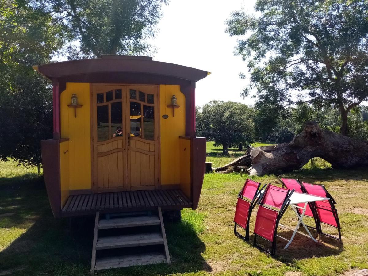 Camping La Bergerie Hotel La Chapelle-Achard Eksteriør billede